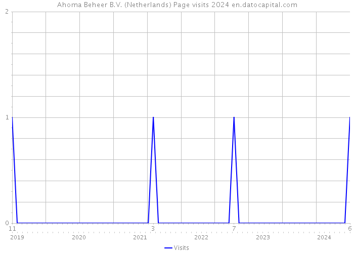 Ahoma Beheer B.V. (Netherlands) Page visits 2024 