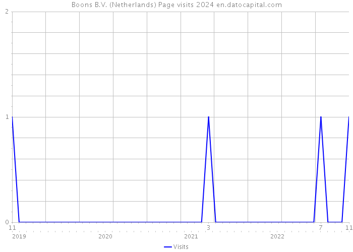 Boons B.V. (Netherlands) Page visits 2024 