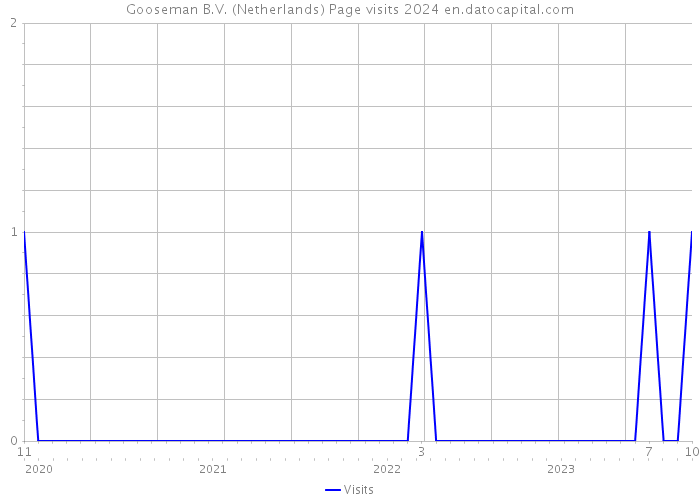 Gooseman B.V. (Netherlands) Page visits 2024 
