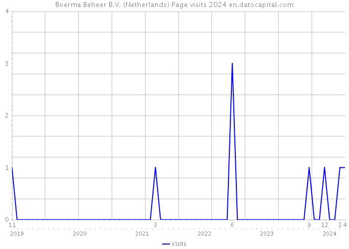 Boerma Beheer B.V. (Netherlands) Page visits 2024 