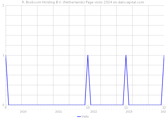 R. Bosboom Holding B.V. (Netherlands) Page visits 2024 