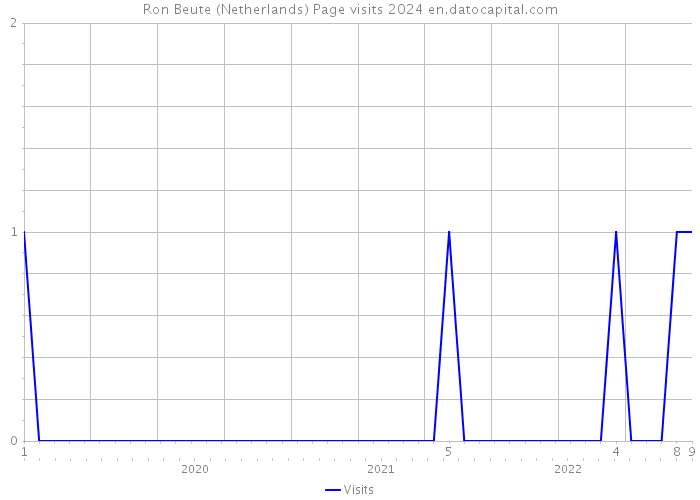 Ron Beute (Netherlands) Page visits 2024 