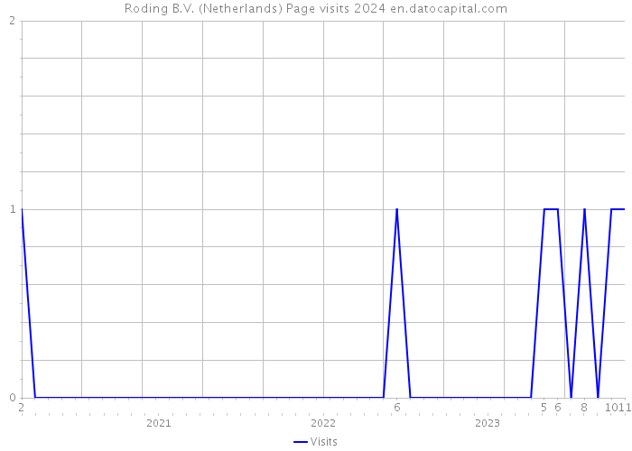 Roding B.V. (Netherlands) Page visits 2024 