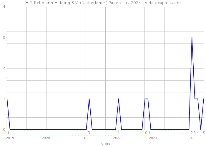 H.P. Rehmann Holding B.V. (Netherlands) Page visits 2024 