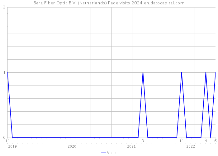Bera Fiber Optic B.V. (Netherlands) Page visits 2024 