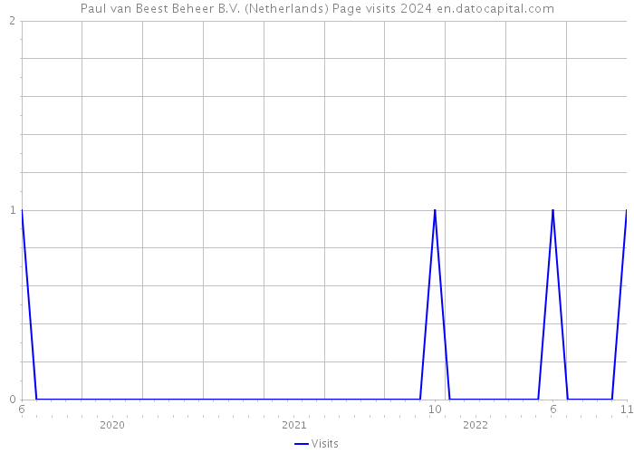 Paul van Beest Beheer B.V. (Netherlands) Page visits 2024 