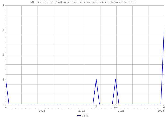 MH Group B.V. (Netherlands) Page visits 2024 