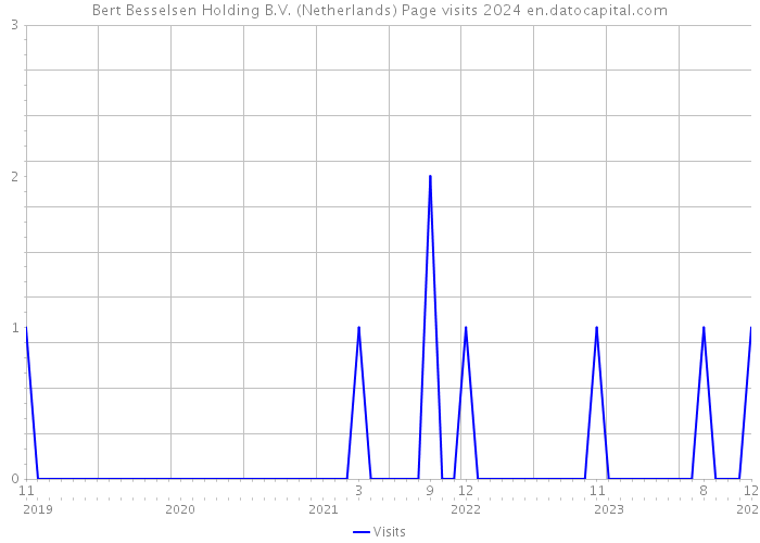 Bert Besselsen Holding B.V. (Netherlands) Page visits 2024 