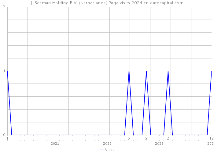 J. Bosman Holding B.V. (Netherlands) Page visits 2024 
