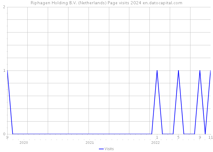 Riphagen Holding B.V. (Netherlands) Page visits 2024 