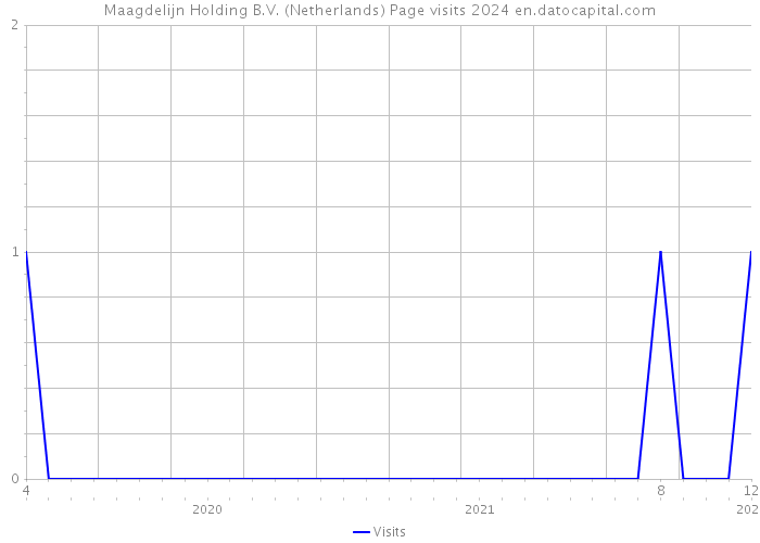 Maagdelijn Holding B.V. (Netherlands) Page visits 2024 