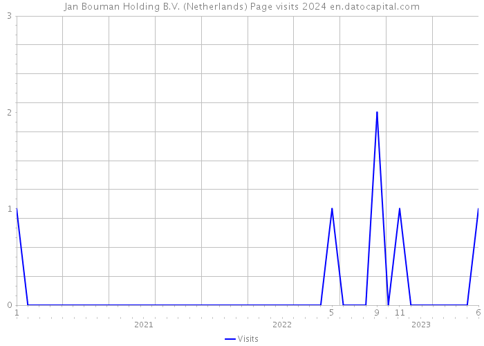 Jan Bouman Holding B.V. (Netherlands) Page visits 2024 