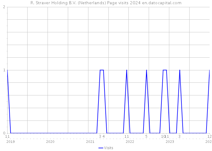 R. Straver Holding B.V. (Netherlands) Page visits 2024 