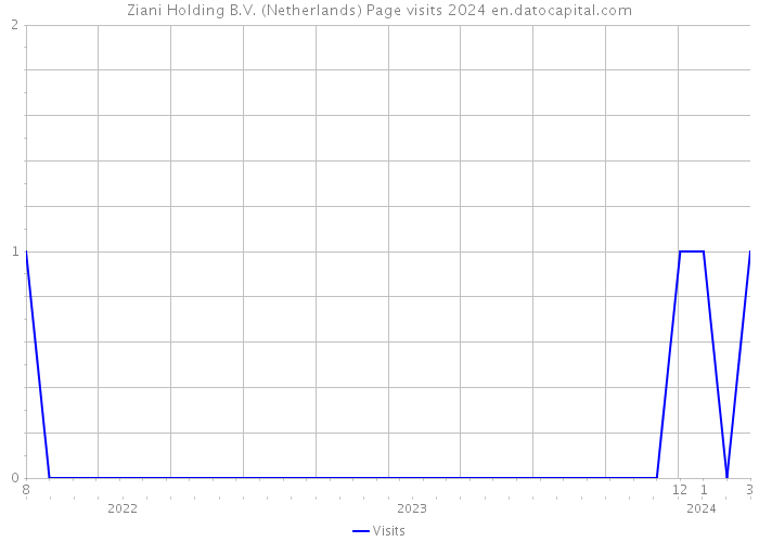 Ziani Holding B.V. (Netherlands) Page visits 2024 