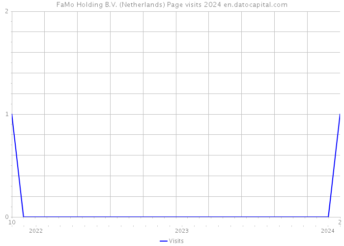 FaMo Holding B.V. (Netherlands) Page visits 2024 