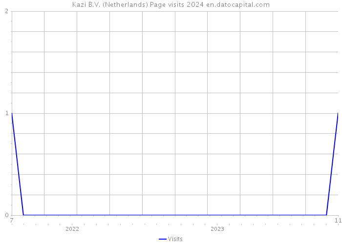 Kazi B.V. (Netherlands) Page visits 2024 