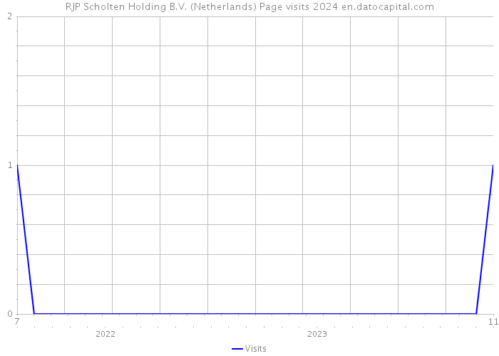RJP Scholten Holding B.V. (Netherlands) Page visits 2024 
