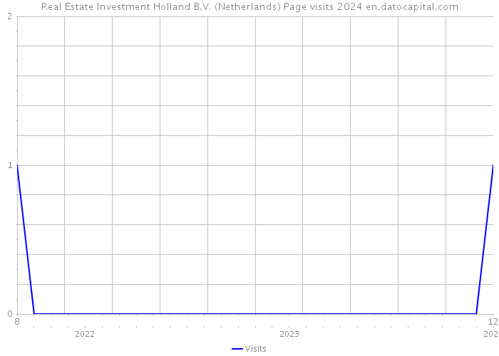 Real Estate Investment Holland B.V. (Netherlands) Page visits 2024 