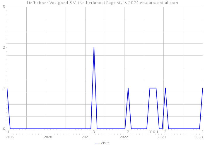 Liefhebber Vastgoed B.V. (Netherlands) Page visits 2024 