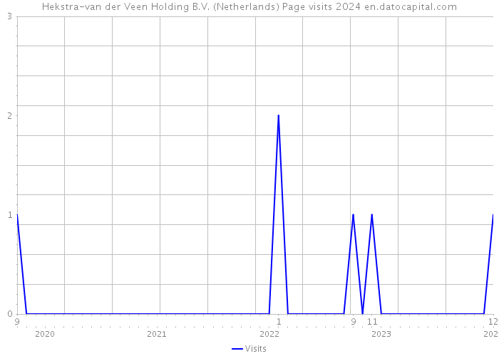Hekstra-van der Veen Holding B.V. (Netherlands) Page visits 2024 