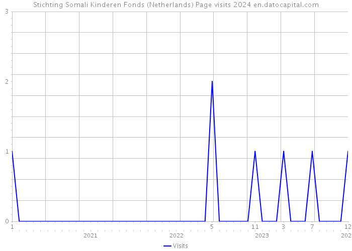 Stichting Somali Kinderen Fonds (Netherlands) Page visits 2024 