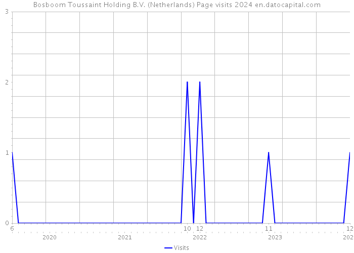 Bosboom Toussaint Holding B.V. (Netherlands) Page visits 2024 