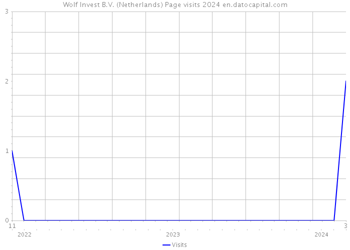 Wolf Invest B.V. (Netherlands) Page visits 2024 