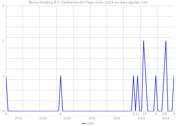 Berns Holding B.V. (Netherlands) Page visits 2024 