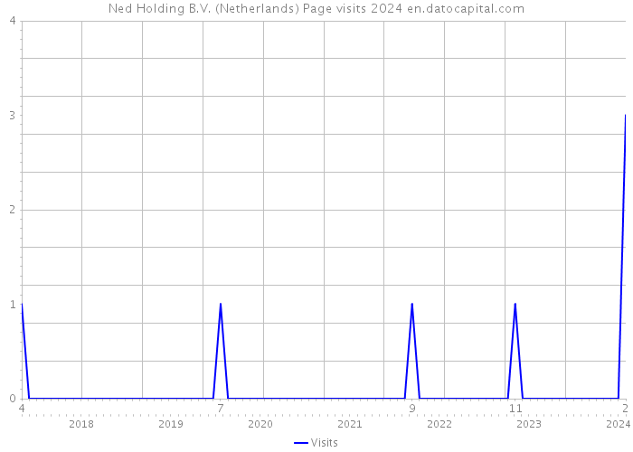 Ned Holding B.V. (Netherlands) Page visits 2024 