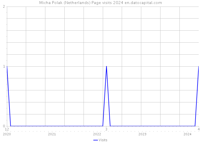 Micha Polak (Netherlands) Page visits 2024 