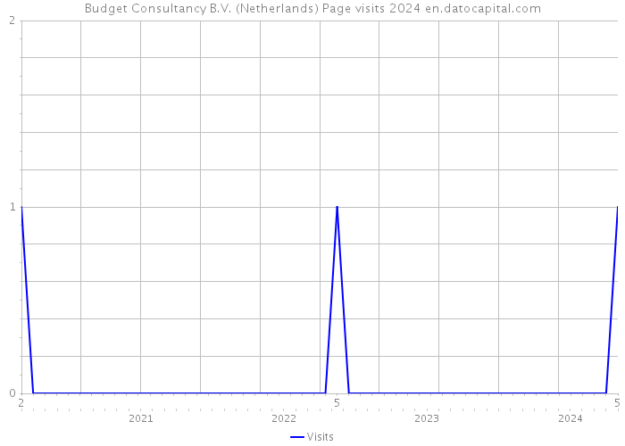 Budget Consultancy B.V. (Netherlands) Page visits 2024 