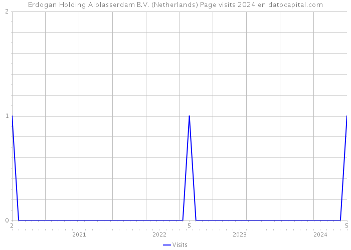 Erdogan Holding Alblasserdam B.V. (Netherlands) Page visits 2024 
