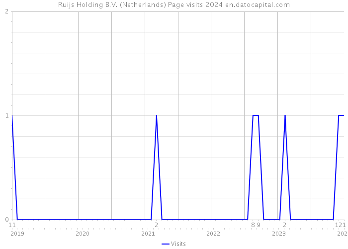 Ruijs Holding B.V. (Netherlands) Page visits 2024 