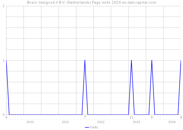 Boers Vastgoed II B.V. (Netherlands) Page visits 2024 