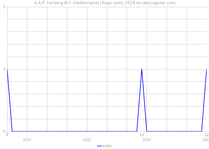 A.A.F. Holding B.V. (Netherlands) Page visits 2024 