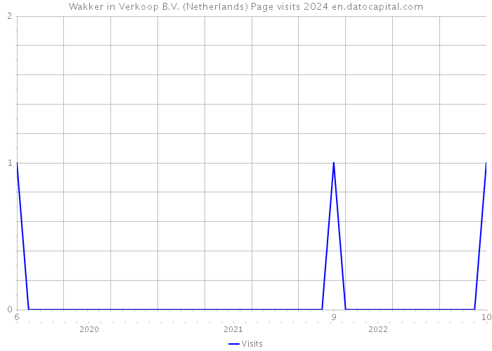 Wakker in Verkoop B.V. (Netherlands) Page visits 2024 
