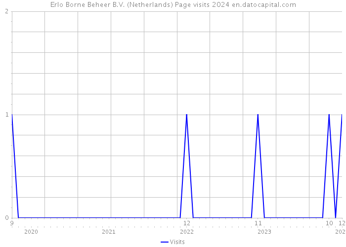 Erlo Borne Beheer B.V. (Netherlands) Page visits 2024 