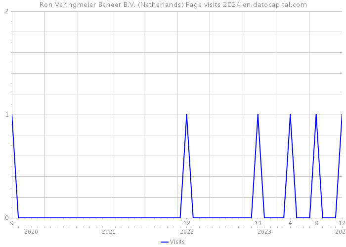 Ron Veringmeier Beheer B.V. (Netherlands) Page visits 2024 