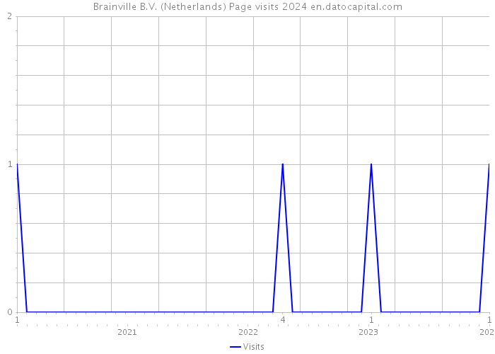 Brainville B.V. (Netherlands) Page visits 2024 