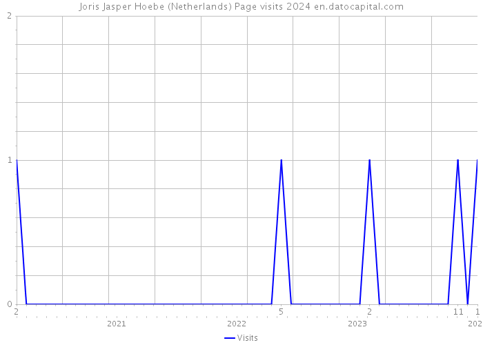 Joris Jasper Hoebe (Netherlands) Page visits 2024 
