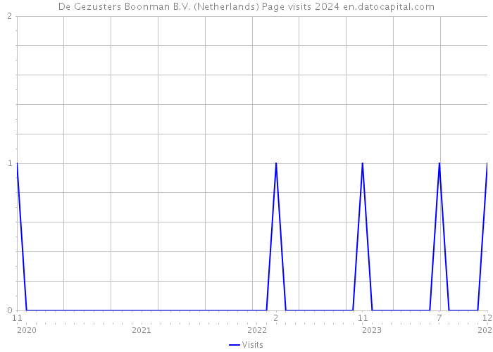 De Gezusters Boonman B.V. (Netherlands) Page visits 2024 