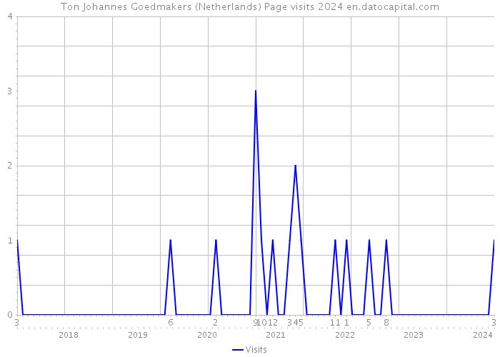 Ton Johannes Goedmakers (Netherlands) Page visits 2024 