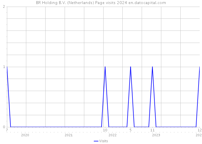 BR Holding B.V. (Netherlands) Page visits 2024 