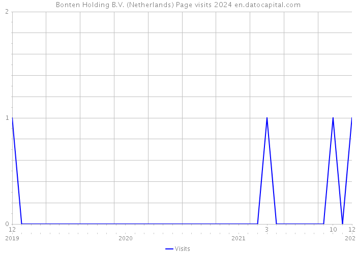 Bonten Holding B.V. (Netherlands) Page visits 2024 