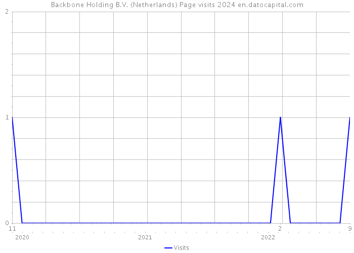 Backbone Holding B.V. (Netherlands) Page visits 2024 