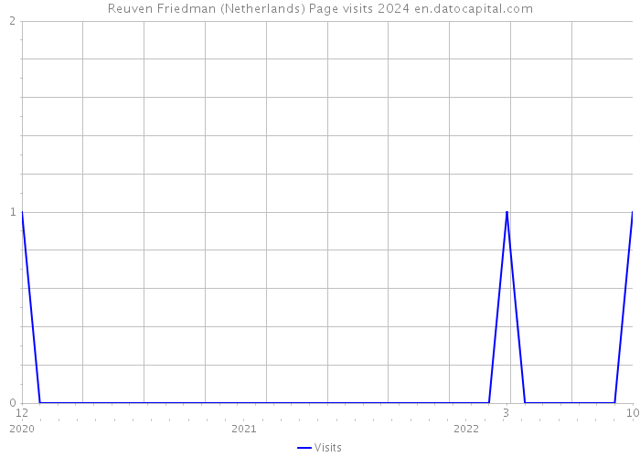 Reuven Friedman (Netherlands) Page visits 2024 