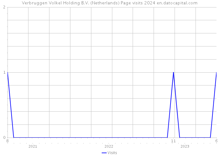 Verbruggen Volkel Holding B.V. (Netherlands) Page visits 2024 