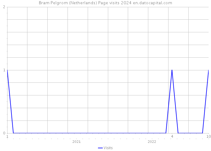 Bram Pelgrom (Netherlands) Page visits 2024 