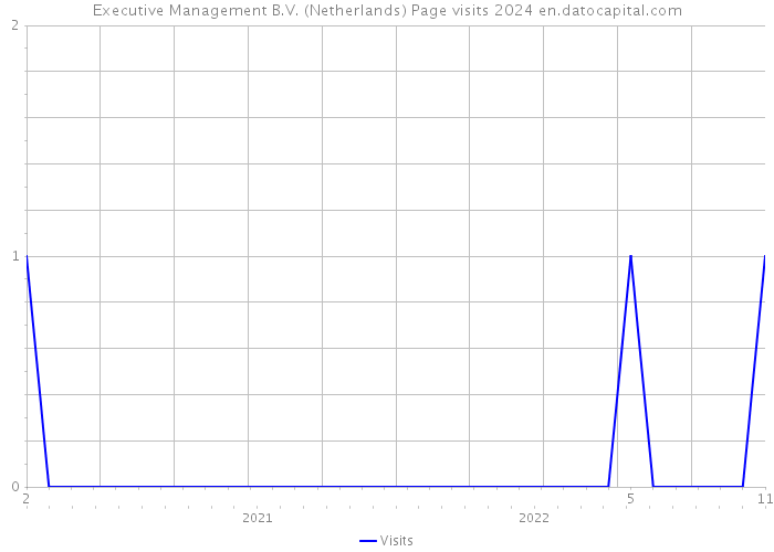 Executive Management B.V. (Netherlands) Page visits 2024 