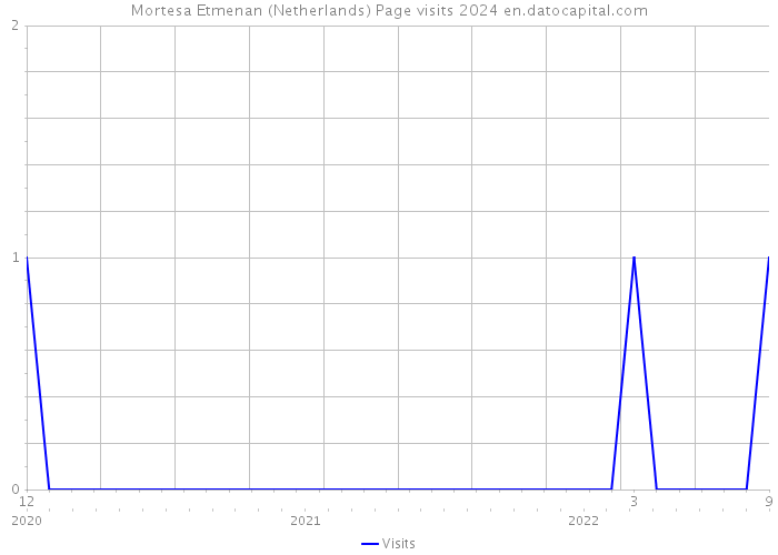 Mortesa Etmenan (Netherlands) Page visits 2024 